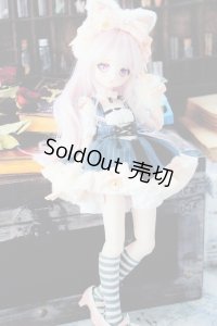 MDD/猫魔導士セット(Ronshuka/ロンシュカ様製) S-24-04-14-187-GN-ZS