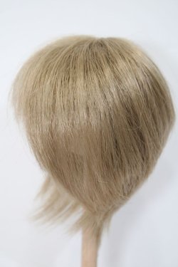画像2: ウィッグ/8-9inch:ショート系 S-25-03-02-303-GN-ZS