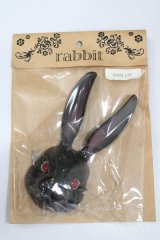 1/3ドール/「rabbit」仮面:ALBA-DOLL様製 S-24-02-11-140-GN-ZS