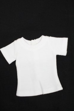 画像1: MSD/OF:Tシャツ S-24-03-10-008-GN-ZS