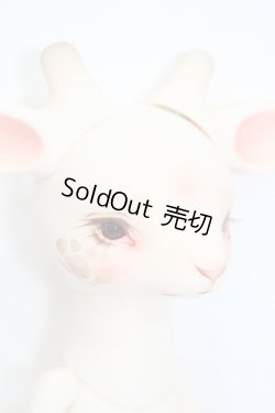 画像8: DEARMINE/AGRIPPA S-24-03-17-005-GN-ZS