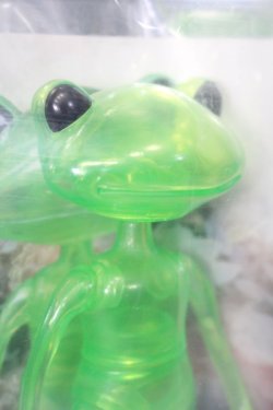 画像3: ワンダーフロッグ/エメラルドワンダ:10周年記念 S-24-12-22-403-GN-ZS