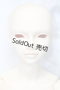 SD17BOY/マクシミリアン:星間学寮Ver. S-24-04-14-004-GN-ZS