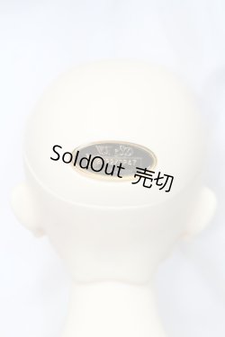 画像6: SD17BOY/マクシミリアン:星間学寮Ver. S-24-04-14-004-GN-ZS