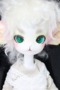 Dollzone/Miss Kitty S-24-04-14-007-GN-ZS