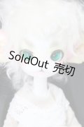 Dollzone/Miss Kitty S-24-06-16-238-GN-ZS