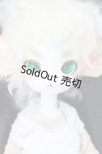 Dollzone/Miss Kitty S-24-06-16-238-GN-ZS
