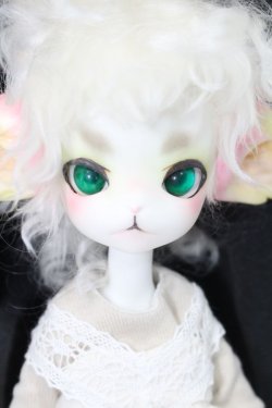 画像1: Dollzone/Miss Kitty S-24-04-14-007-GN-ZS