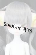 Dollzone/Miss Kitty:猫メイドver. Limited S-24-08-04-263-GN-ZS