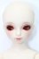 画像1: SDM女の子/コーディネートモデル:夕霧 S-24-12-08-434-GN-ZS (1)
