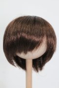 ウィッグ/8inch S-25-03-04-309-GN-ZS
