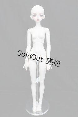 画像9: Peak's Woods/FOC Tristan ver. Romantico Limited S-24-04-21-122-GN-ZS