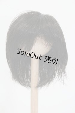 画像1: ウィッグ/6-7inch S-25-04-20-360-GN-ZS