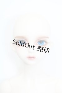 LUTS/Model Delf ANN S-24-09-08-253-GN-ZS