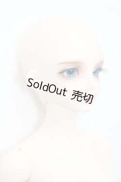 画像3: LUTS/Model Delf ANN S-24-09-08-253-GN-ZS