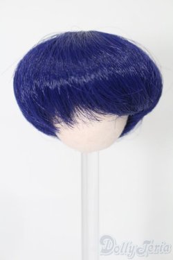 画像1: ウィッグ/5inch:PARABOX製 S-25-08-03-221-GN-ZS