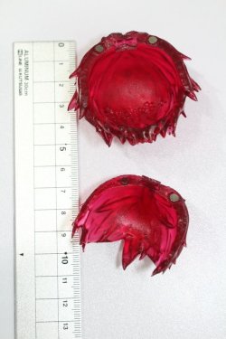画像4: レジンウィッグ/5inch:まめるり亭様製 S-25-03-30-487-GN-ZS