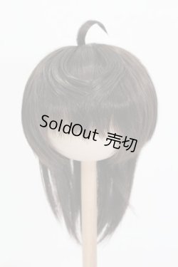 画像1: ウィッグ/8.5inch:Medium Cowlick:MSireDoll製 S-25-06-01-438-GN-ZS