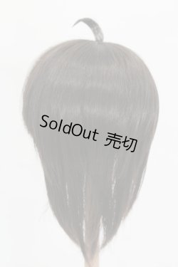 画像3: ウィッグ/8.5inch:Medium Cowlick:MSireDoll製 S-25-06-01-438-GN-ZS