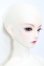 画像3: XAGADOLL/Joshua　MC S-25-03-30-429-GN-ZS
