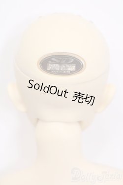 画像5: SD13BOY/F-16 S-24-06-16-111-GN-ZS