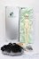 画像7: Gem of Doll/Rae,Eye of God S-25-04-20-534-GN-ZS