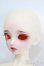 画像2: Dollsn/Romi Devil Orange ver. S-24-10-06-248-GN-ZS (2)