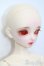 画像3: Dollsn/Romi Devil Orange ver. S-24-10-06-248-GN-ZS