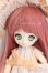 画像1: ミニスウィーツドール/リコリス S-25-03-16-363-GN-ZS (1)