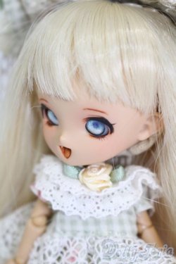 画像2: PICCODO/NIAUTO D1ヘッド+ボディセット S-25-03-16-367-GN-ZS