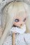 画像3: PICCODO/NIAUTO D1ヘッド+ボディセット S-25-03-16-367-GN-ZS (3)