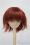 画像1: ウィッグ/9-10inch/インチ　BJD　MJD　ドール用 A-25-06-25-391-GN-ZA (1)