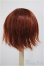 画像2: ウィッグ/9-10inch/インチ　BJD　MJD　ドール用 A-25-06-25-391-GN-ZA (2)