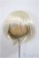 画像1: ウィッグ/9-10inch/インチ　BJD　MJD　ドール用 A-25-08-13-395-GN-ZA (1)
