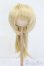 画像1: ウィッグ/8-9inch S-25-03-23-311-GN-ZS (1)