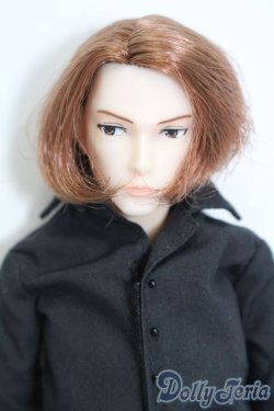 画像1: petworks/六分の一男子図鑑:ナイン S-25-03-16-374-GN-ZS