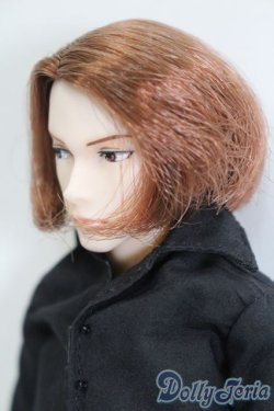 画像2: petworks/六分の一男子図鑑:ナイン S-25-03-16-374-GN-ZS