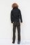 画像5: petworks/六分の一男子図鑑:ナイン S-25-03-16-374-GN-ZS