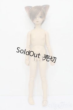 画像4: MSD女の子/F-22(サンライト肌) S-24-07-07-121-GN-ZS