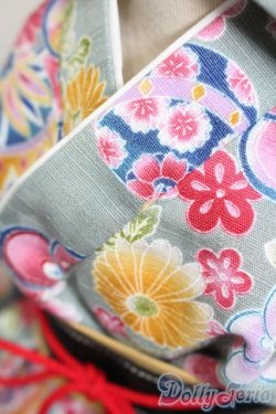 画像4: DD/OF:和ドレスセット S-25-09-07-486-GN-ZS