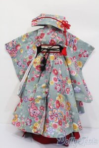 DD/OF:和ドレスセット S-25-05-11-340-GN-ZS