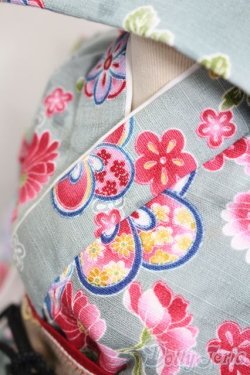 画像4: DD/OF:和ドレスセット S-25-09-07-485-GN-ZS