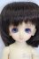 画像1: 幼SD/蓮華丸 S-25-02-02-356-GN-ZS (1)
