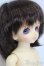 画像3: 幼SD/蓮華丸 S-25-02-02-356-GN-ZS