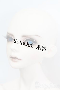 画像2: LUTS/Senior65 Delf DIEZ Limited 2015ver. S-25-05-04-645-GN-ZS