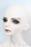 画像2: LUTS/Senior65 Delf DIEZ Limited 2015ver. S-25-03-30-436-GN-ZS (2)
