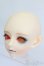 画像2: BambiCrony/BZ PePPer Basic S-25-04-20-530-GN-ZS (2)