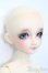 画像3: SDC女の子/グレーテル S-24-12-08-423-GN-ZS