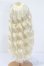 画像3: ウィッグ/8-9inch S-25-04-13-349-GN-ZS (3)