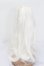 画像2: ウィッグ/8-9inch S-25-03-02-348-GN-ZS (2)